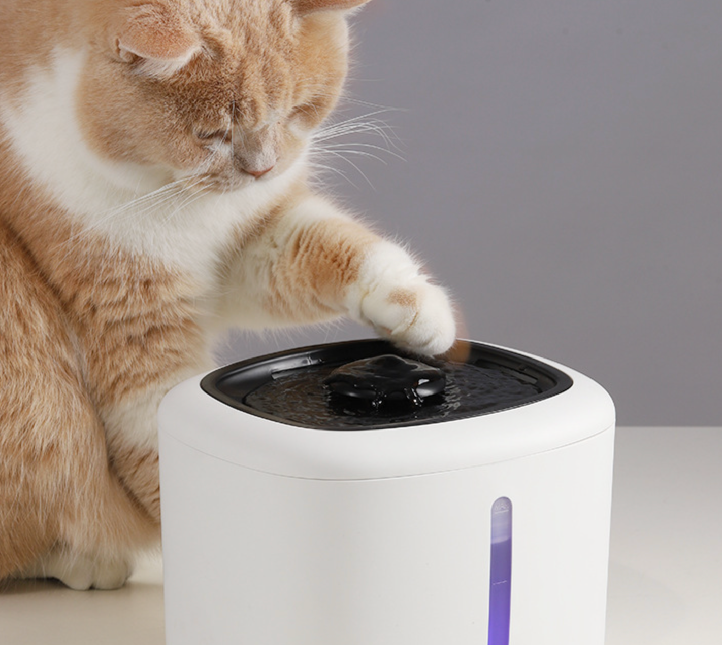 Chenpet Cat Water Dispenser Automatic Circulation Live Water Filtration Dog Water Bowl