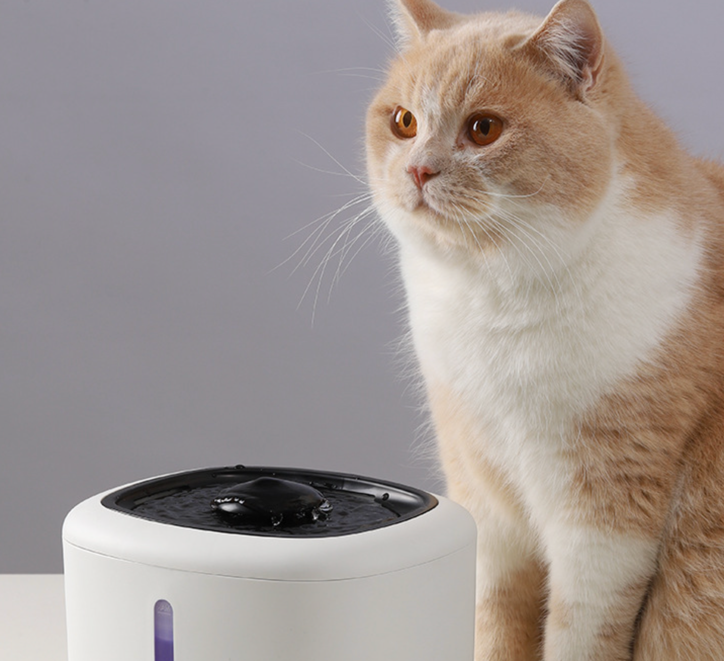 Chenpet Cat Water Dispenser Automatic Circulation Live Water Filtration Dog Water Bowl