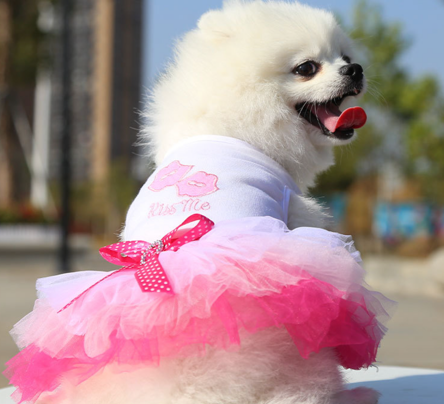 Chenpet Eco-friendly New S/S Pet Dresses Dog Cat Apparels