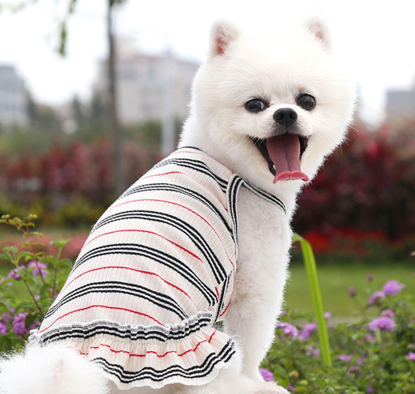 Chenpet New Arrival Striped Pet Clothes Dog Apparels Pet Dresses