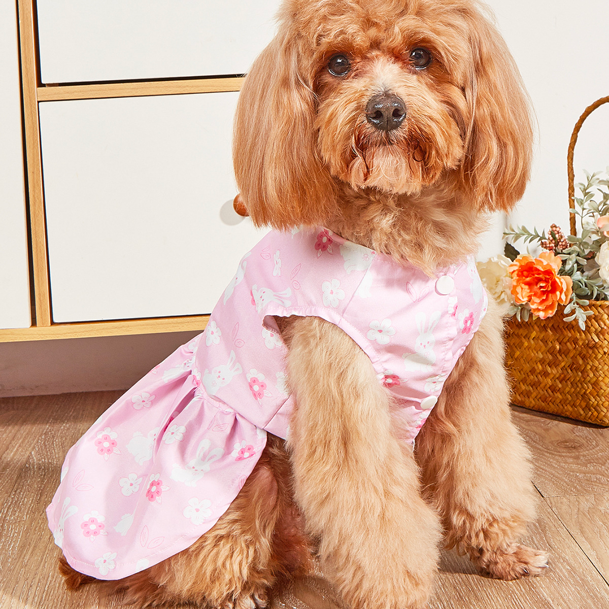 Chenpet New Collection Spring Summer Pet Apparels Dog Clothes