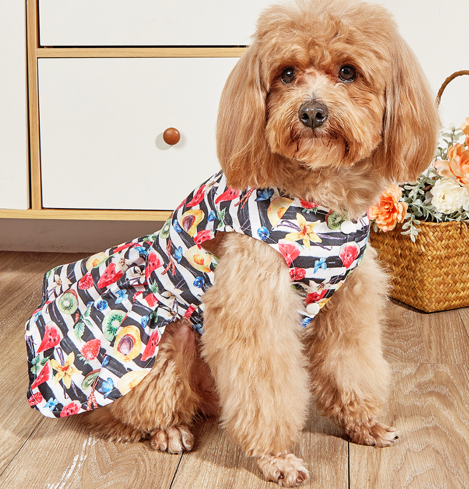 Chenpet New Collection Spring Summer Pet Apparels Dog Clothes