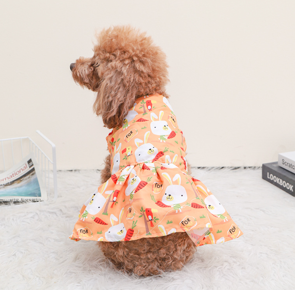 Chenpet New Collection Spring Summer Pet Apparels Dog Clothes