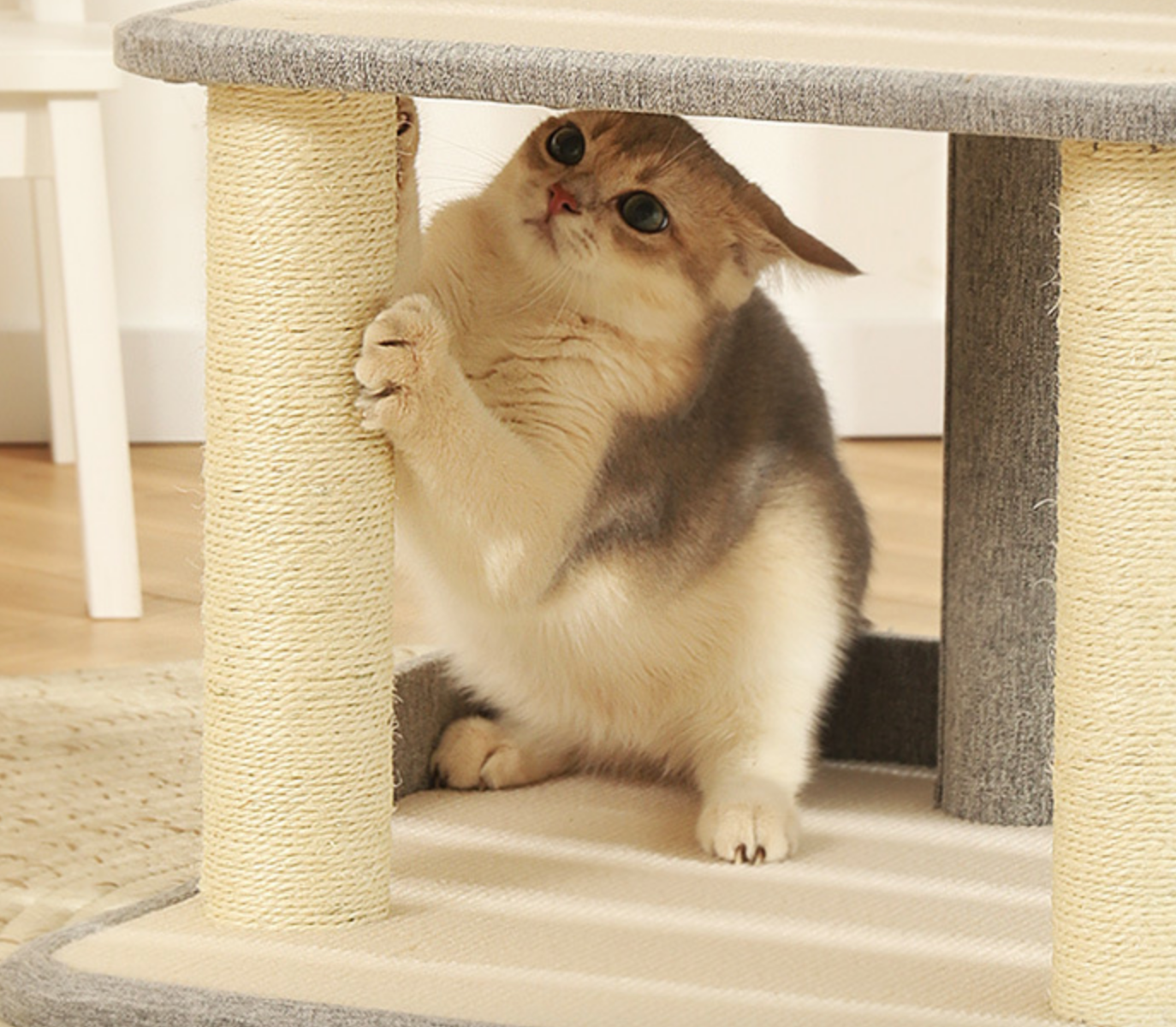 Chenpet Durable Large Sofa Fabric Cat Trees Cat Climbing