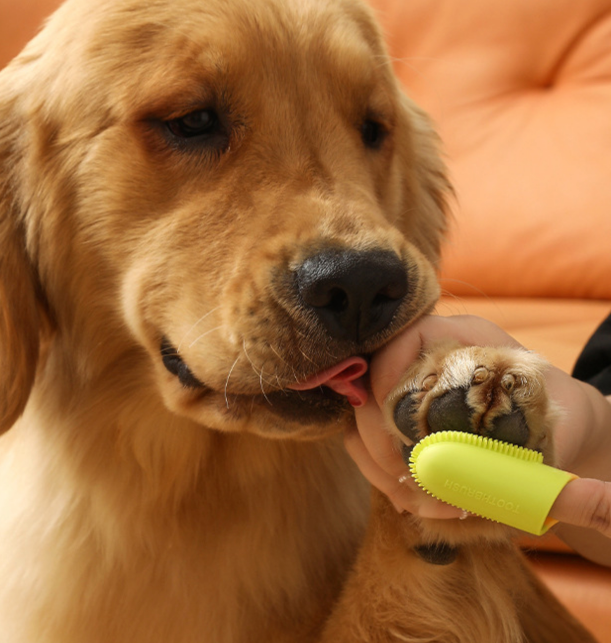 Chenpet Silicone Pet Portable Toothbrush