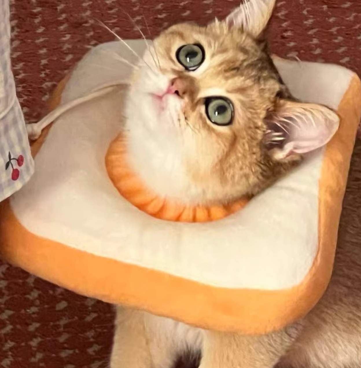 Chenpet Eco-friendly Cat Spay/Neuter Anti-Licking Collar