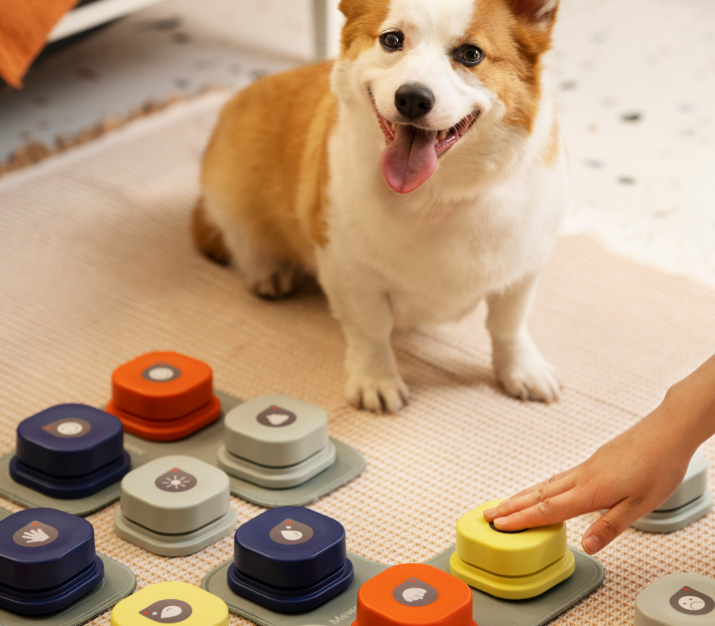 Chenpet Wholesale Pet Sound Training Bell