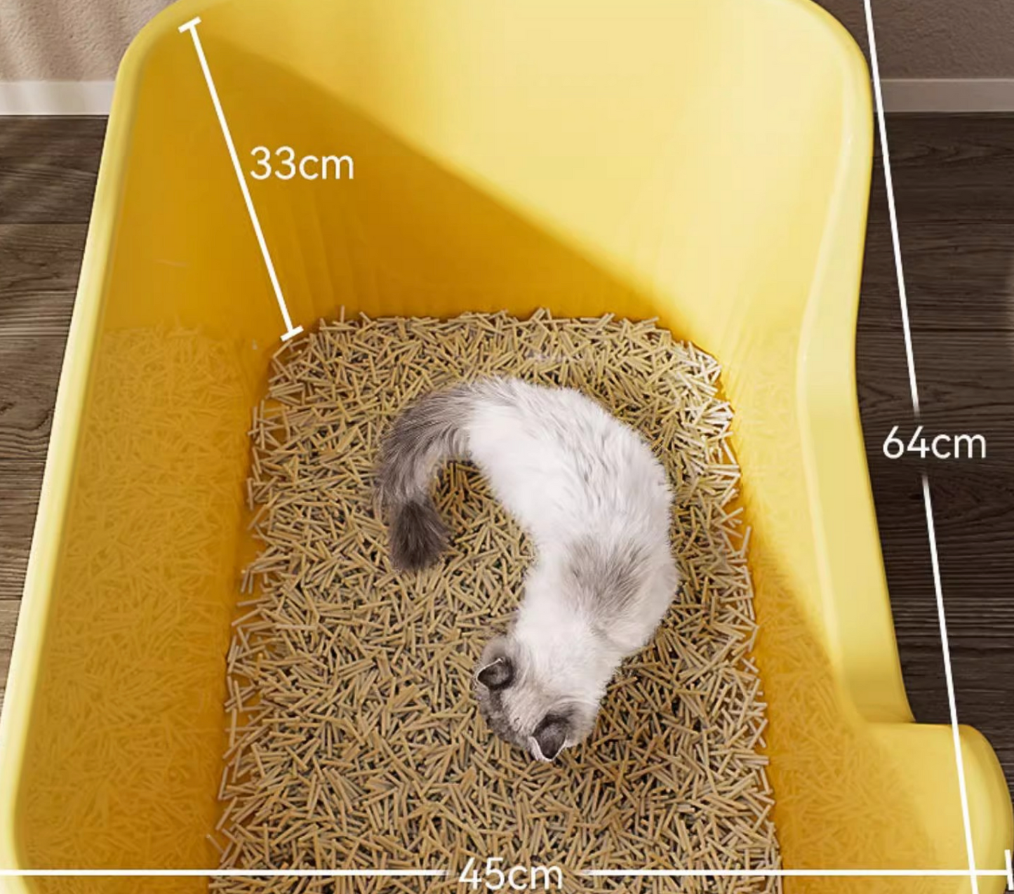 Chenpet Durable PP Cat Litter Box Training