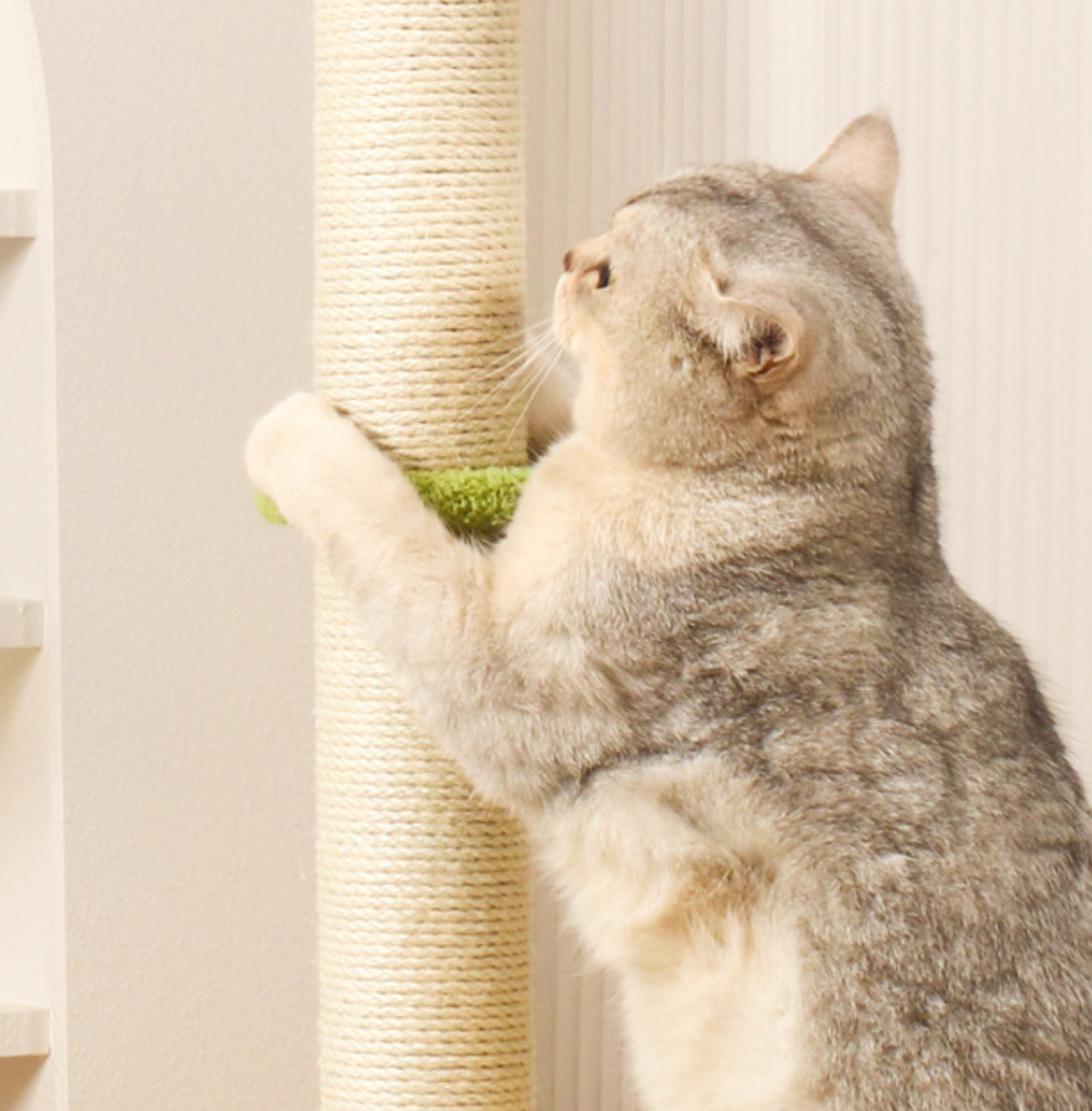 Chenpet Manufacturer Maple Leaf Durable Cat Trees