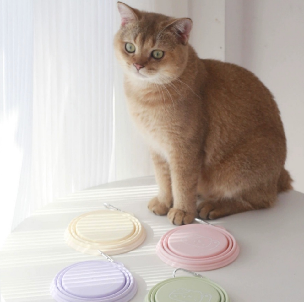 Chenpet Wholesale TPE Foldrable Outdoor Pet Bowls