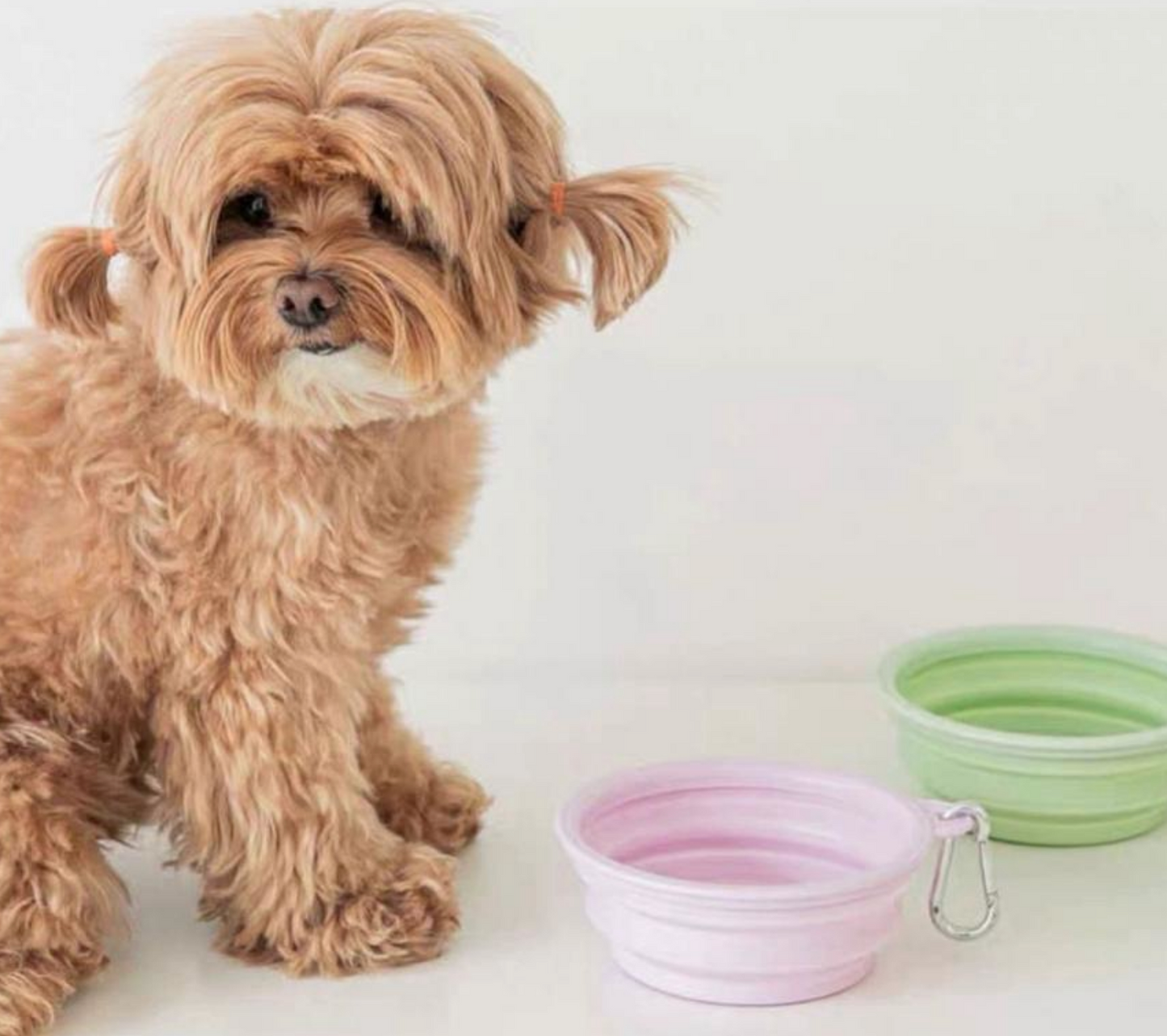 Chenpet Wholesale TPE Foldrable Outdoor Pet Bowls