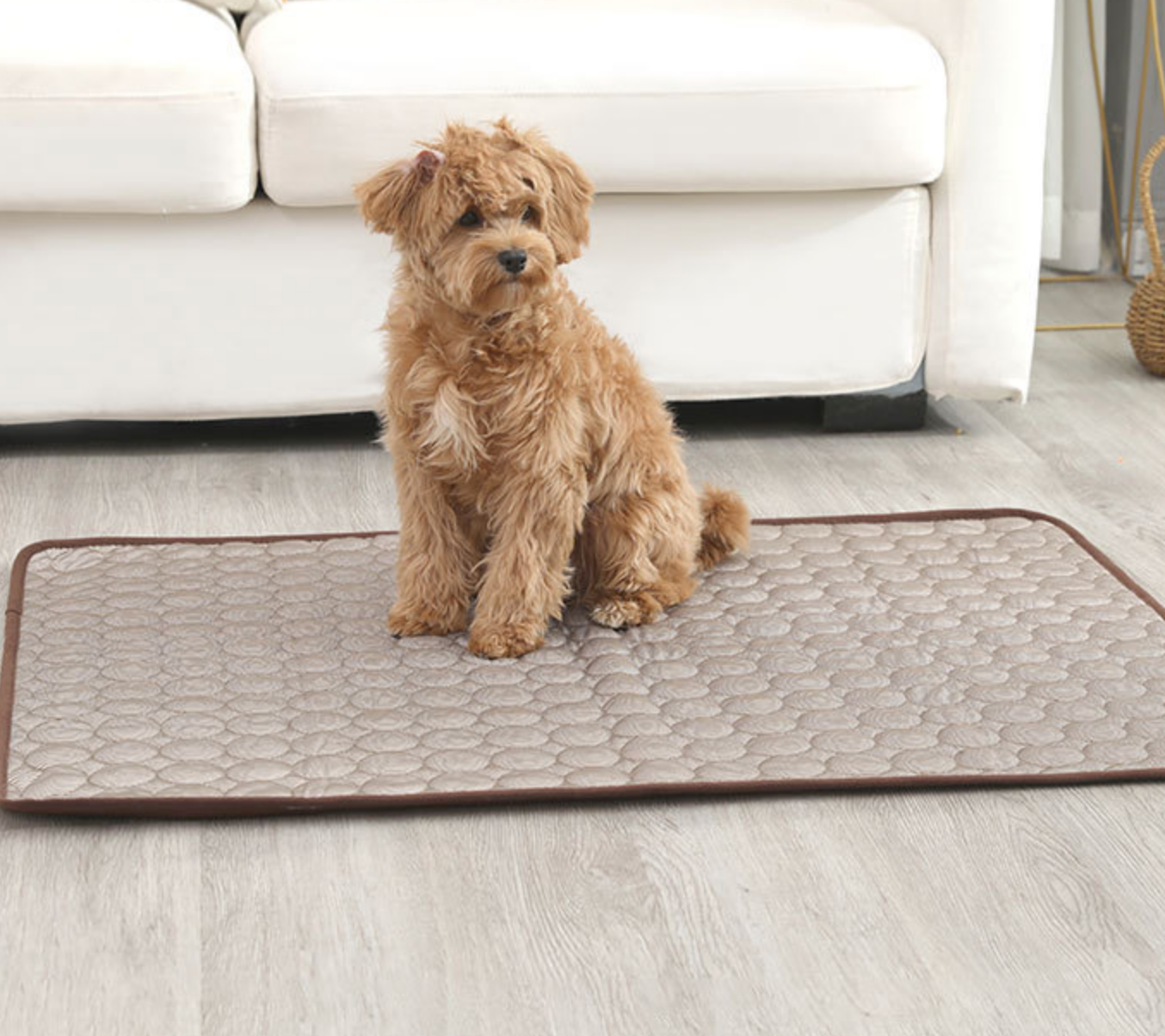 Chenpet Wholesale Summer Cool Pet Mats