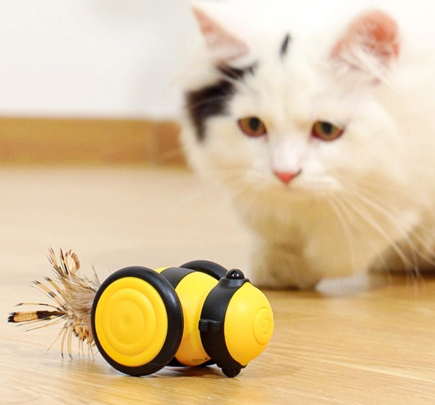 Chenpet Wholesale Electric Cat Automatic ABS Play Toys