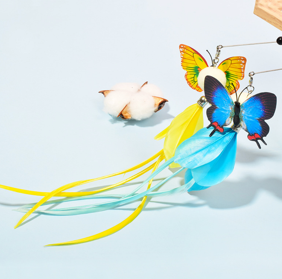 Chenpet Wholesale Butterfly Design Cat Feather Play Toys