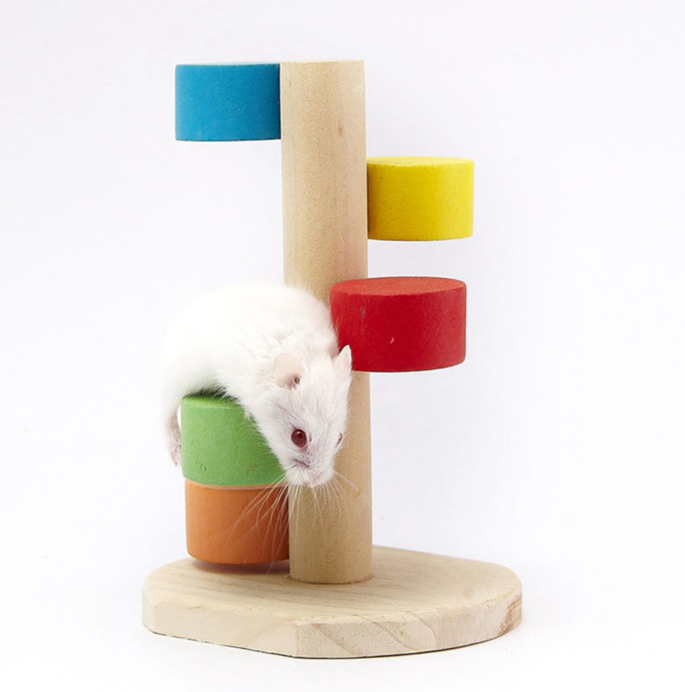 Chenpet Eco-friendly Custom Hamsters Small Pets Toys
