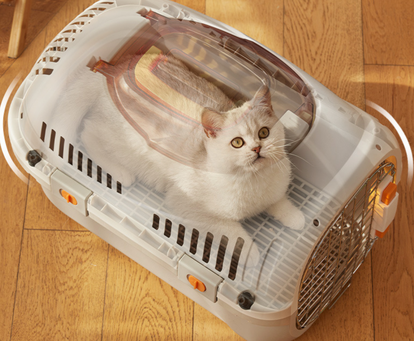 Chenpet Wholesale Pet PP Outside Cat Outing Portable Carry-on Air Box