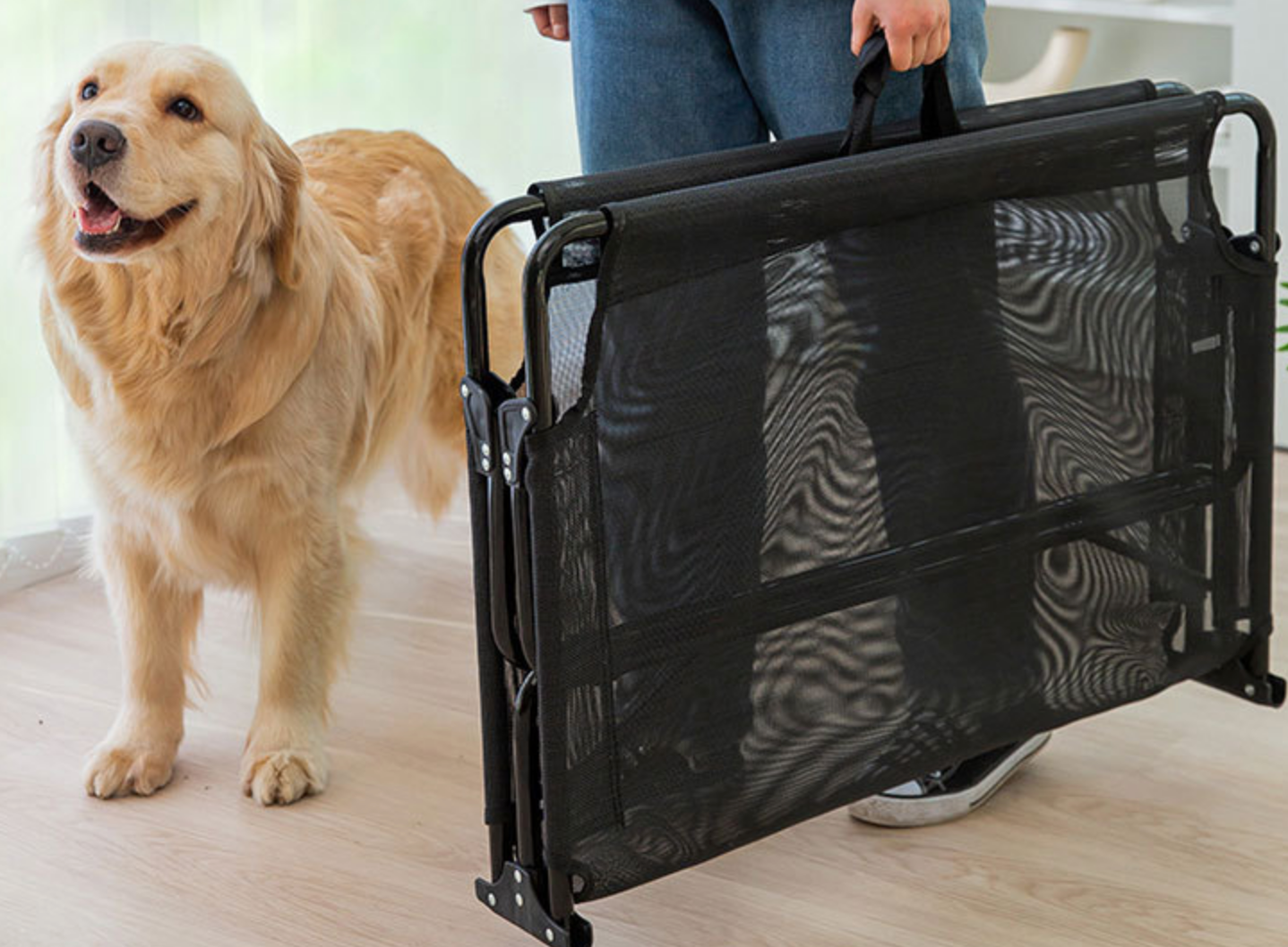 Chepet Wholesale Breathable Pet Steel Dog Beds