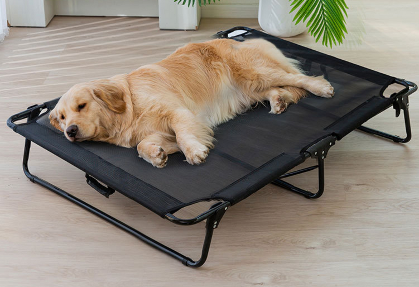 Chepet Wholesale Breathable Pet Steel Dog Beds