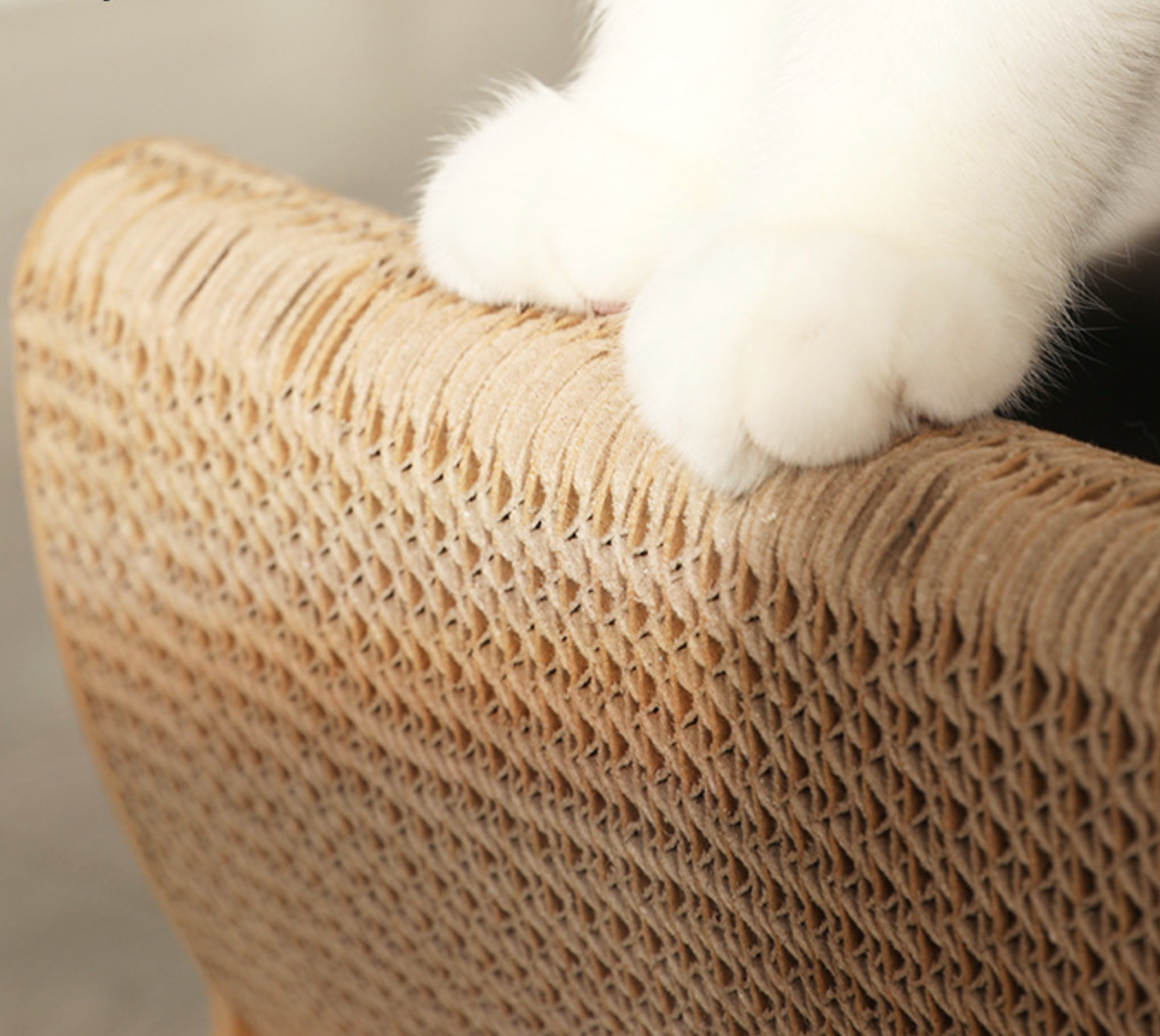 Chenpet Wholesale New Design Cat Scratchers