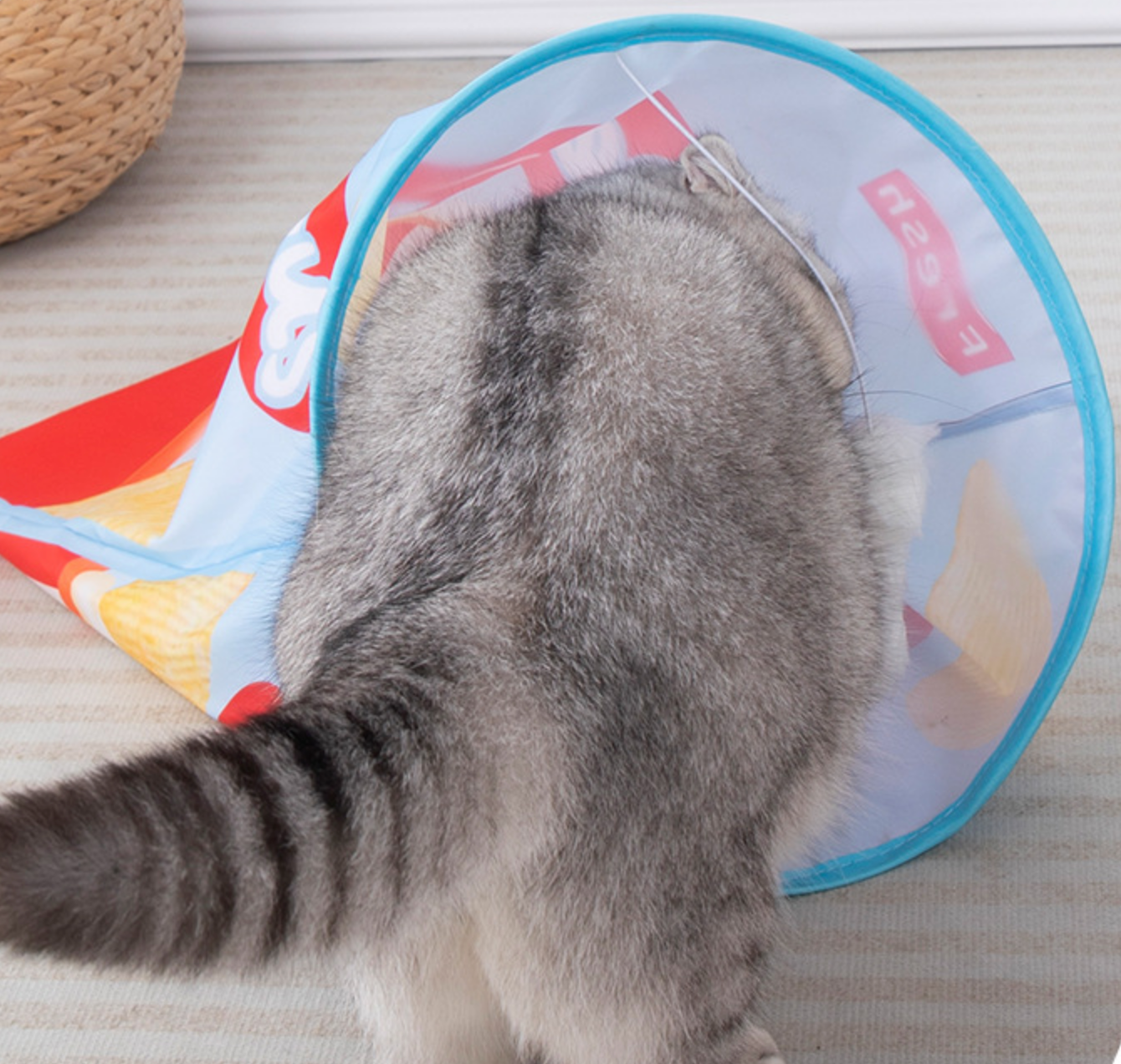 Chenpet Wholesale Folding Cat Tunnel Cat Play Toys