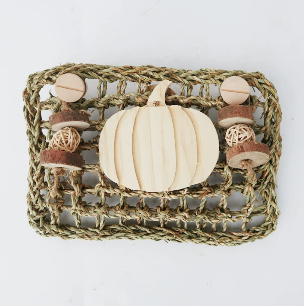 Chenpet Wholesale Teething Straw Mat Small Pet Toys