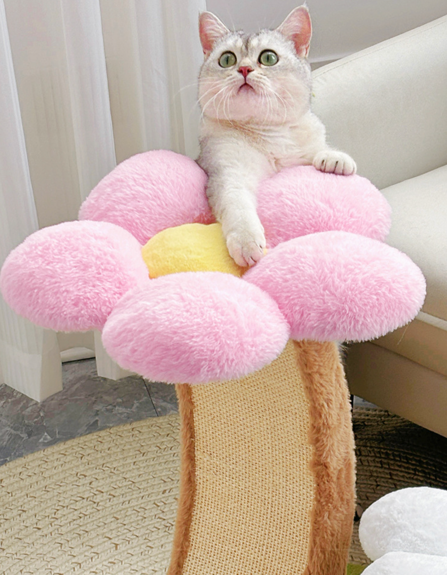 Chenpet Manufacturer New Design Of Flower Style Cat Trees