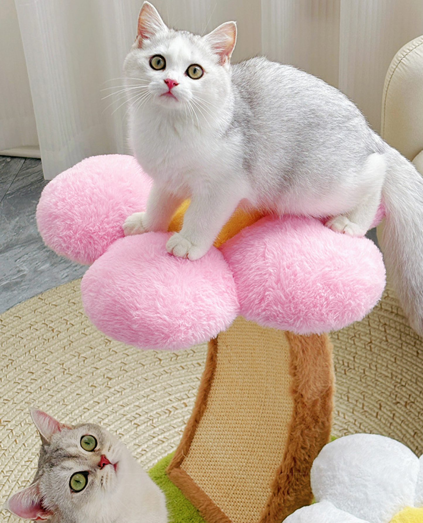 Chenpet Manufacturer New Design Of Flower Style Cat Trees