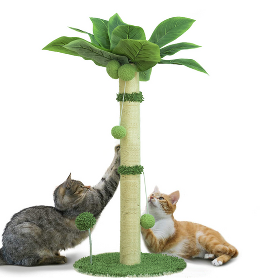 Chenpet Hot Selling Cocoanut Style Cat Climbing Cat Trees