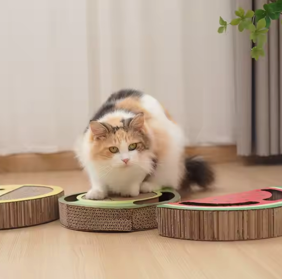 Chenpet Wholesale Custom Pet Fruit Series cat scratching board
