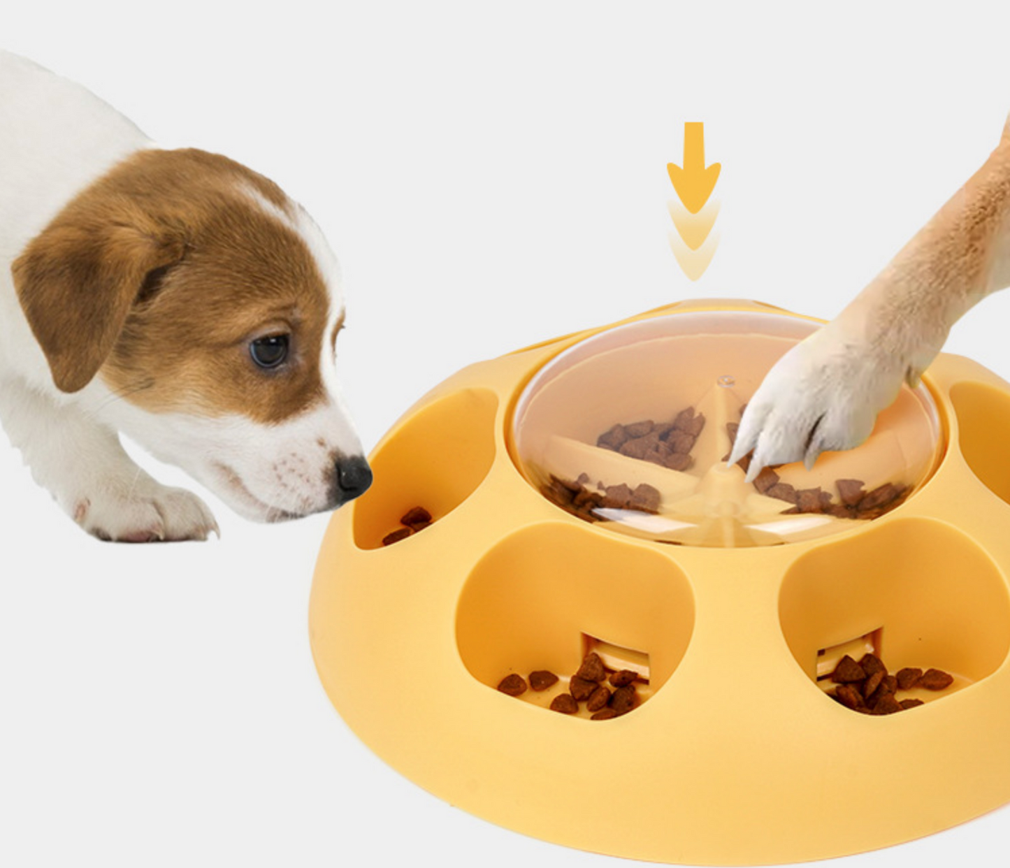 Chenpet Wholesale TPR Pet Training Food Toys