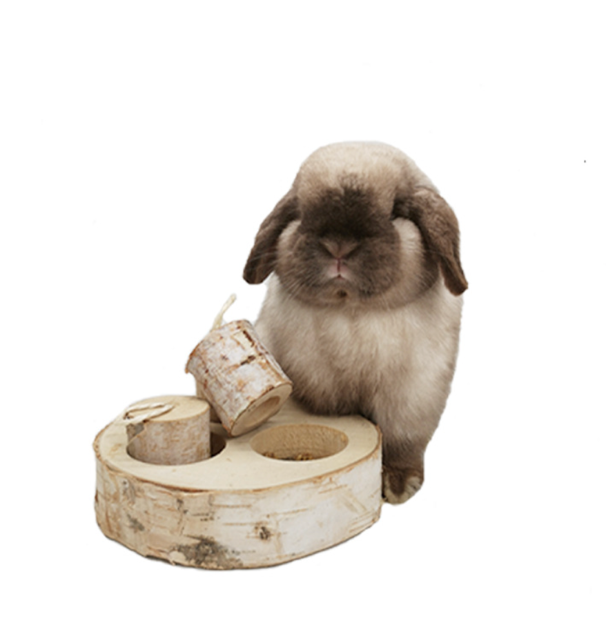 Chenpet Small Pet Natural Brich Wood Training Toys
