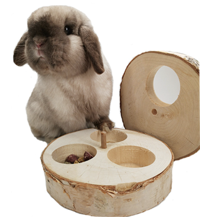 Chenpet Small Pet Natural Brich Wood Training Toys