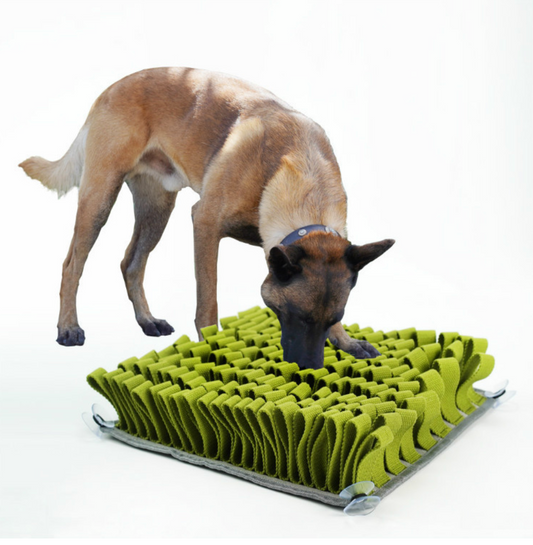 Chenpet Wholesale New Design Durable Oxford Dog Snuffle Mats