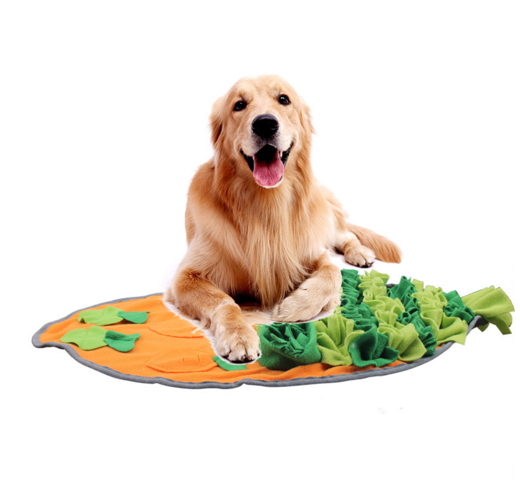 Chenpet Wholesale Hot Selling Carrot Pet Snuffle Mats