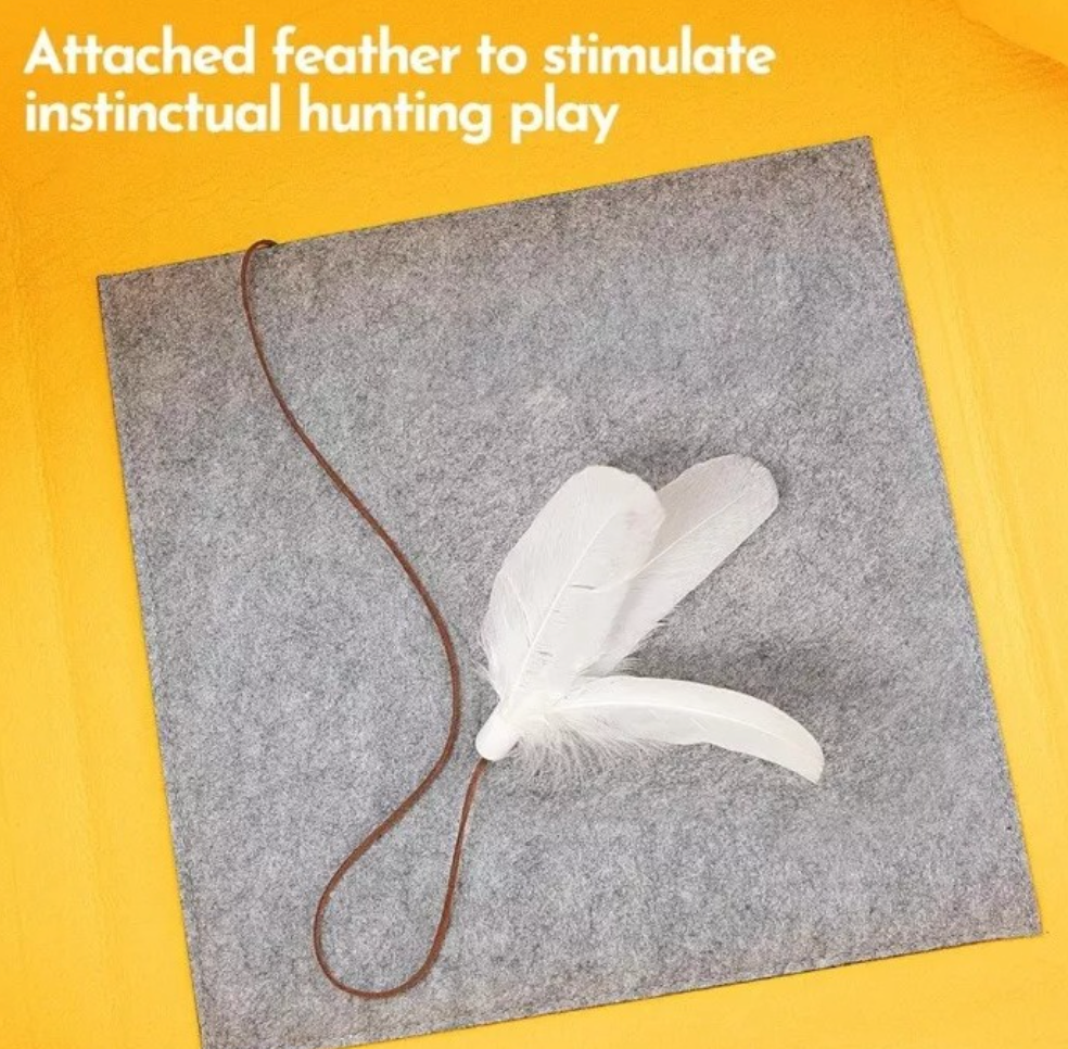 Chenpet Manufacturer Pet Woven Beds Cat Play Tunnel Beds