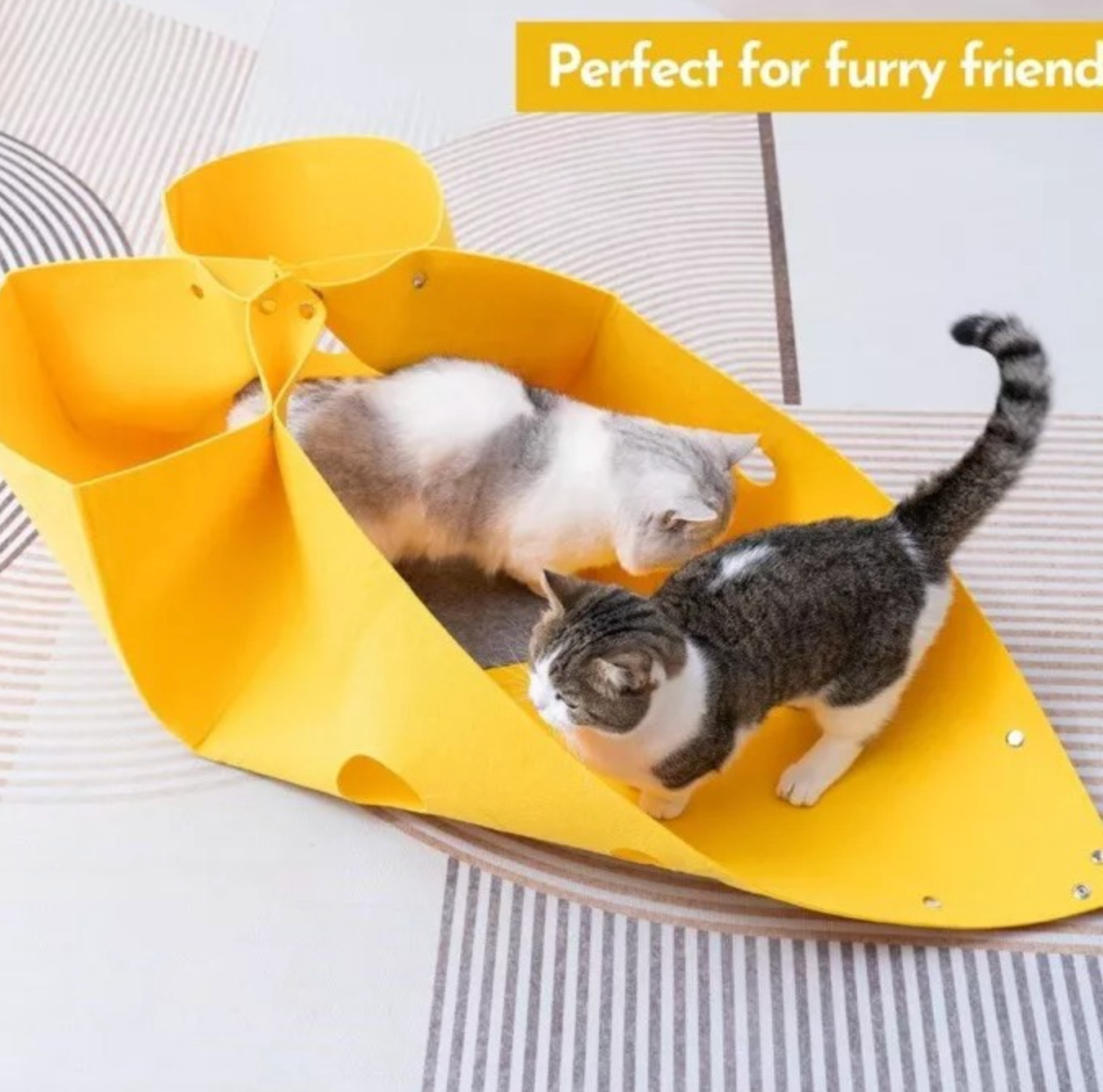 Chenpet Manufacturer Pet Woven Beds Cat Play Tunnel Beds
