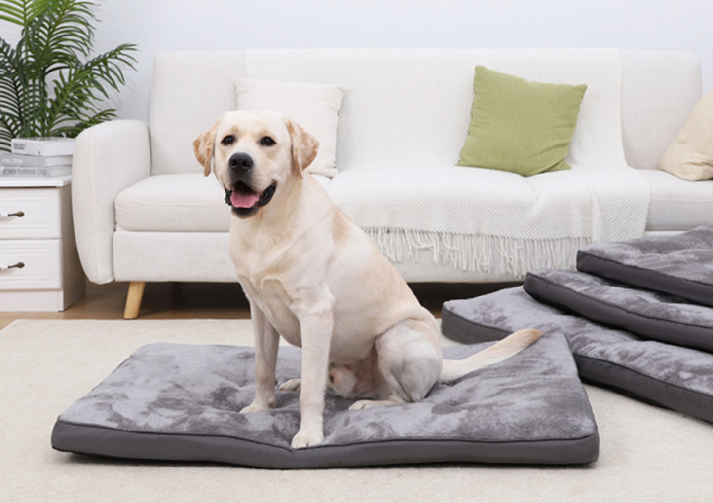 Chenpet Arctic Fleece Bite Resistant Pet Beds Dog Mat