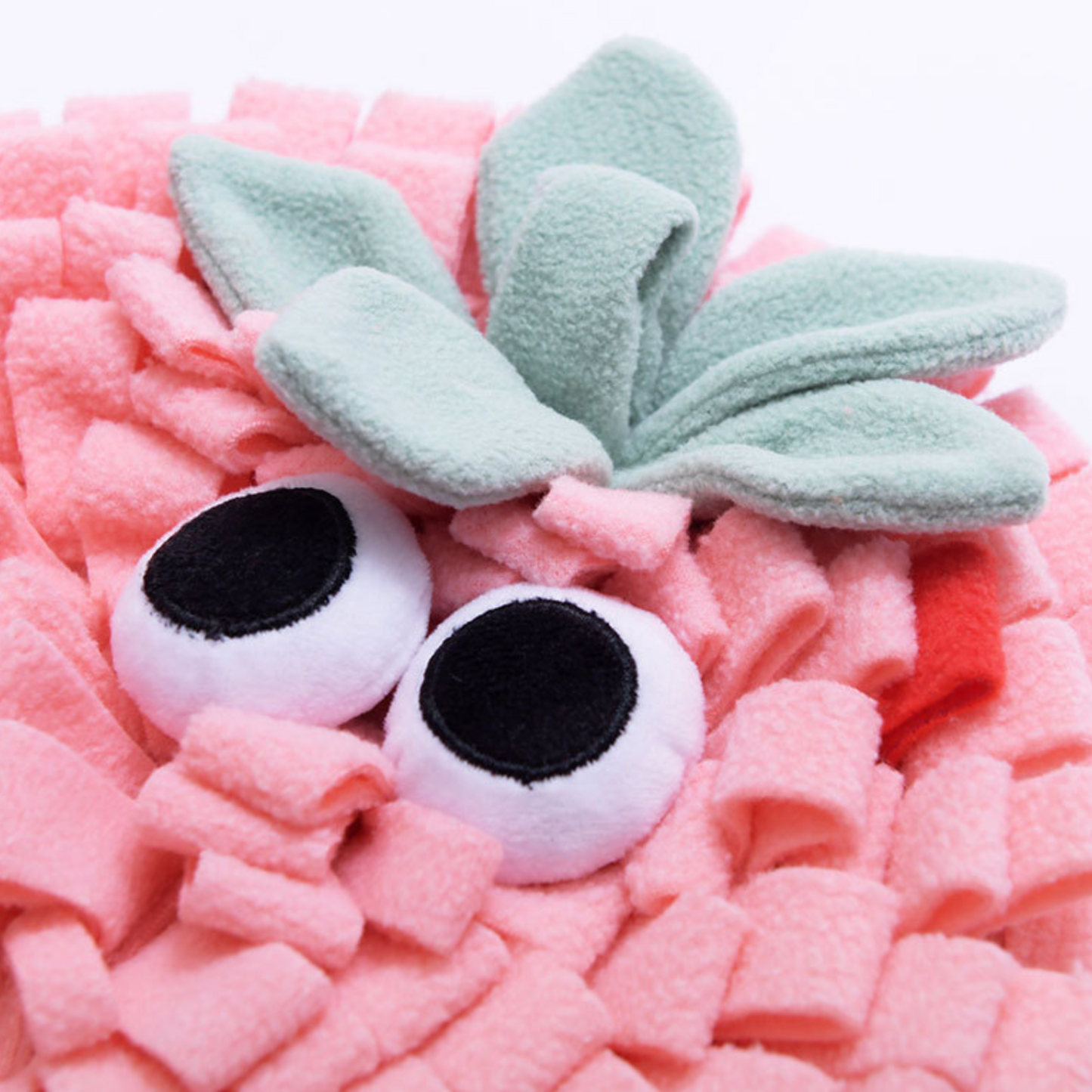 Chenpet Manufacturer Fruit Series Pet Soft Snuffle Mats