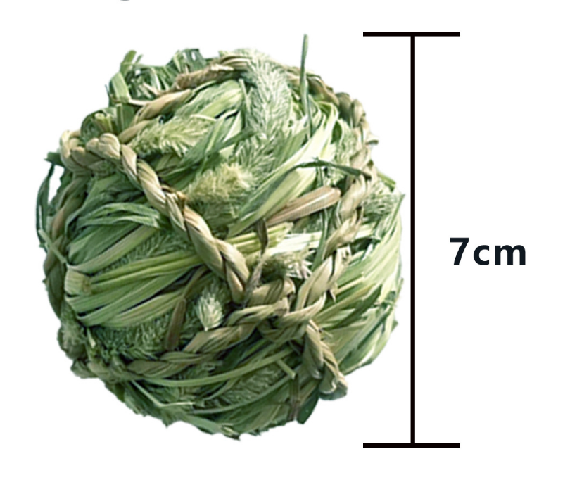 Chenpet Hot Selling Natural Small Pet Products Balls