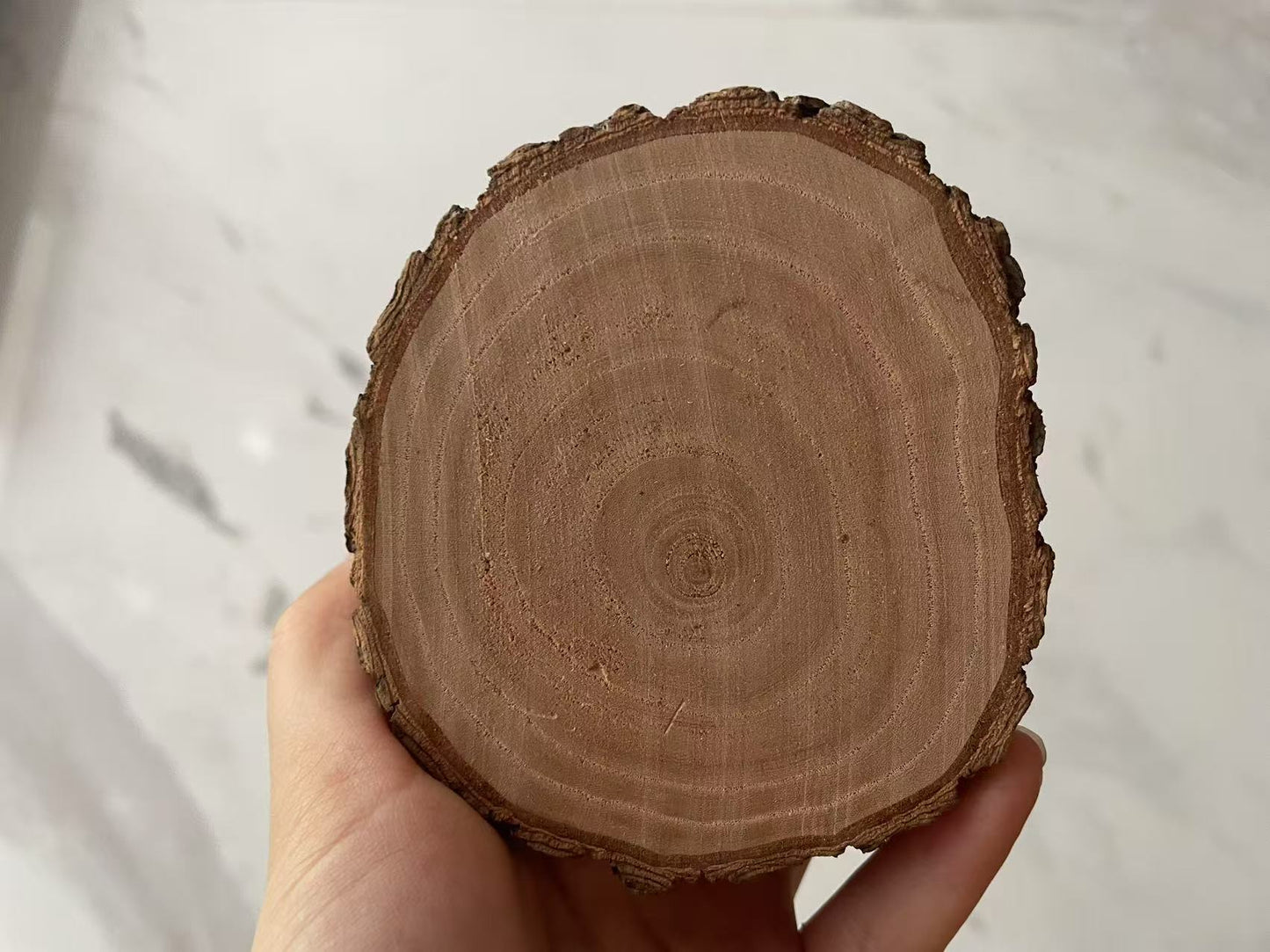 Chenpet Hot Selling Natural Wood Small Pet Enrichment Toys