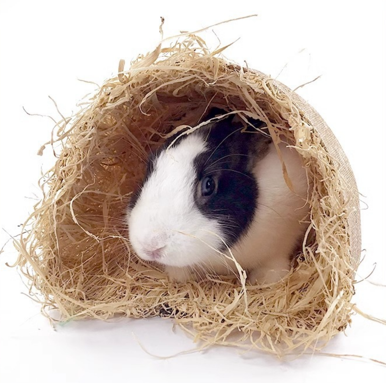 Chenpet Small Pet Natural Tunnel Hideaway House