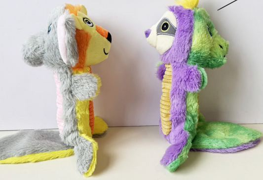 Chenpet Customized Teeth Cleaning  chewable Double-sided Dog Toys