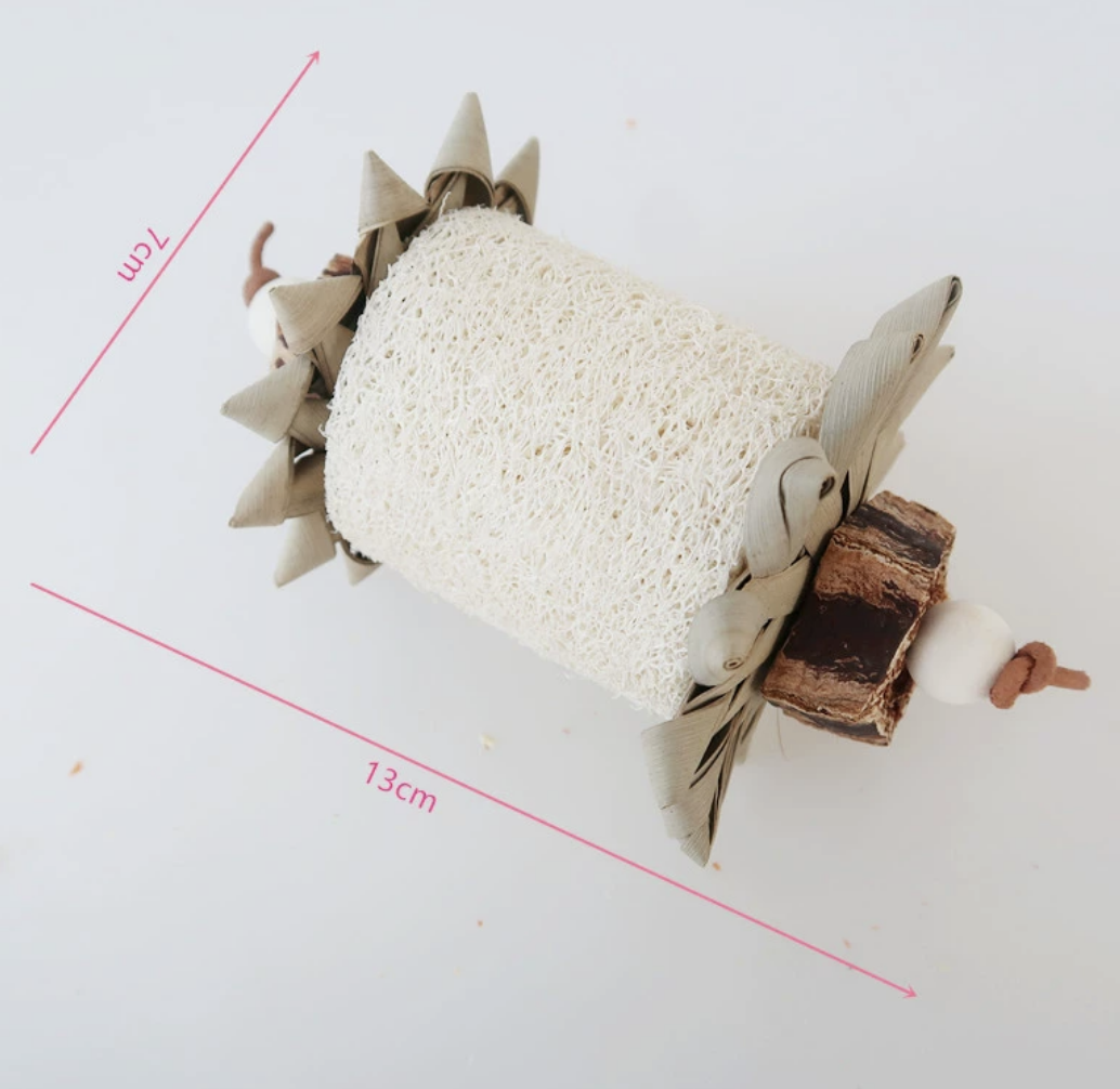 Chenpet Hot Selling Natural Small Pets Chewing Cleaning Teeth Play Toys