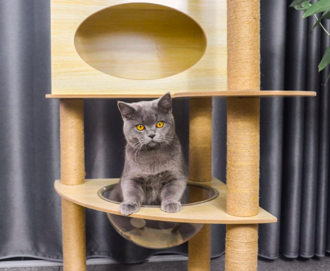 Chenpet Wholesaler Durable MDF Cat Trees Cat Climbing