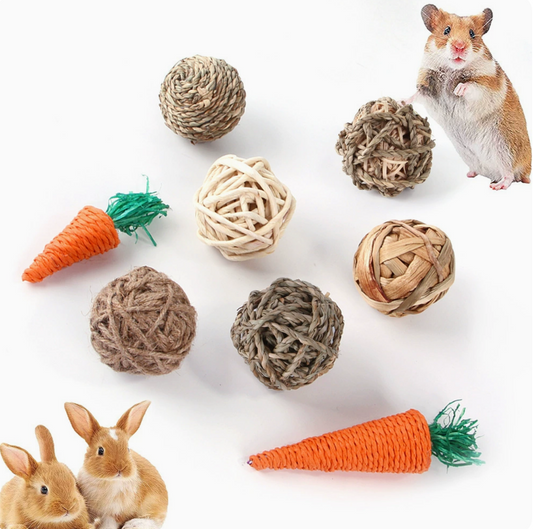 Pawfect Small Pet Natural Carrots &Balls Rabbits Play Toys