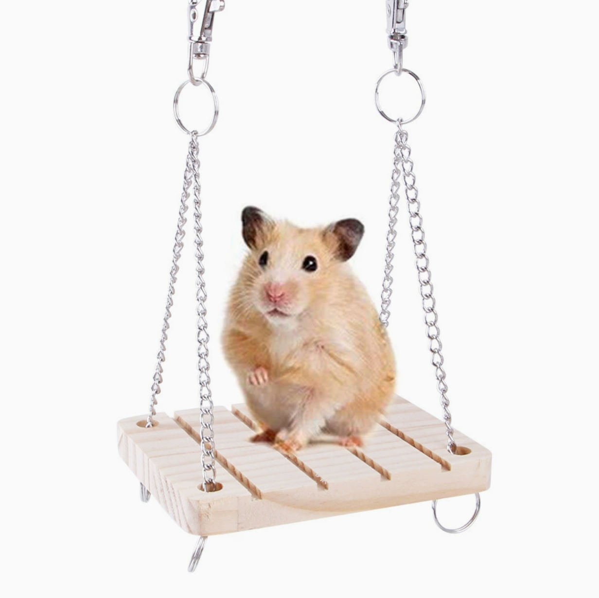 Pawfect Small Pet Natural Carrots &Balls Rabbits Play Toys