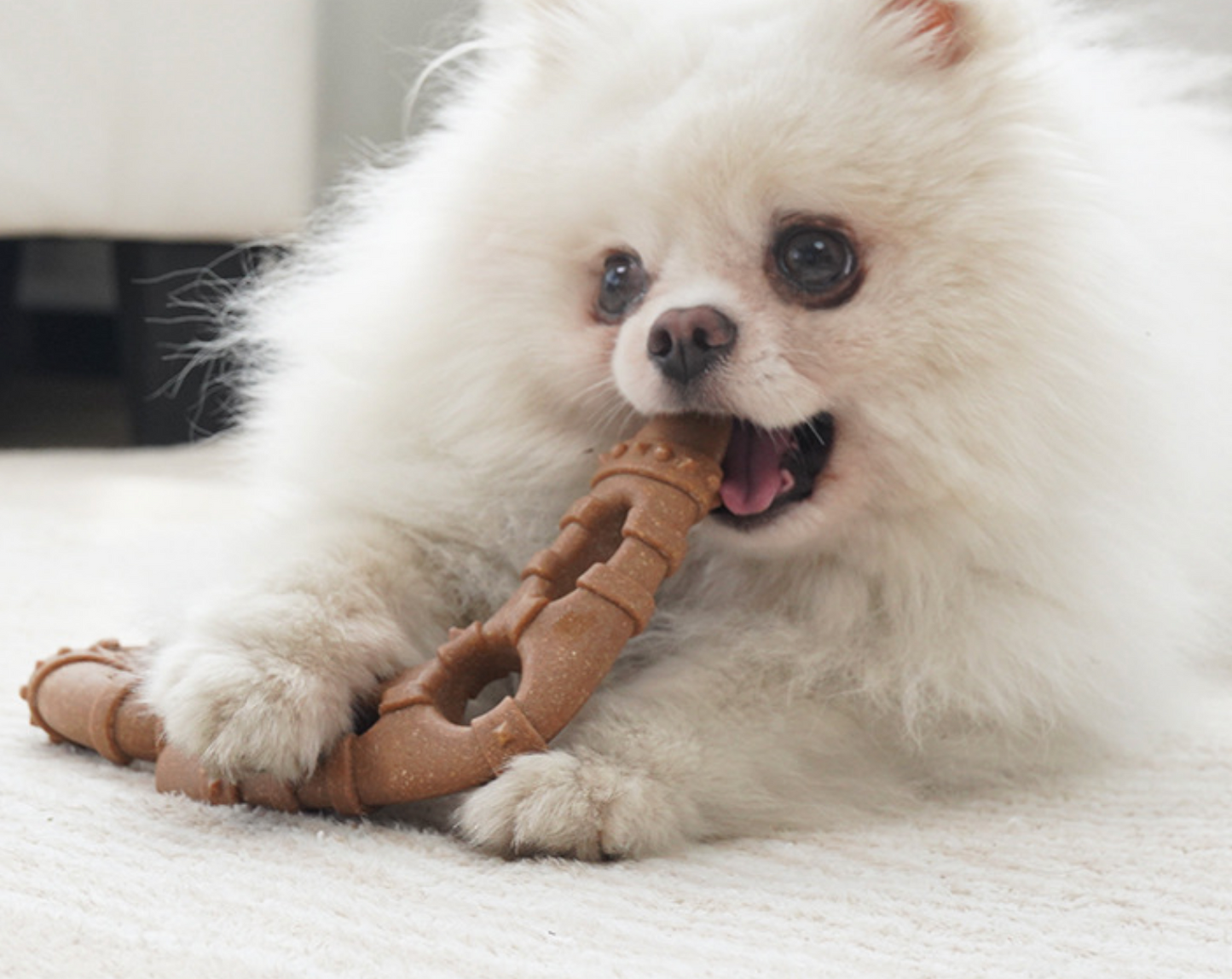 Chenpet Wholesale Plastic Dog Chews Play Toys