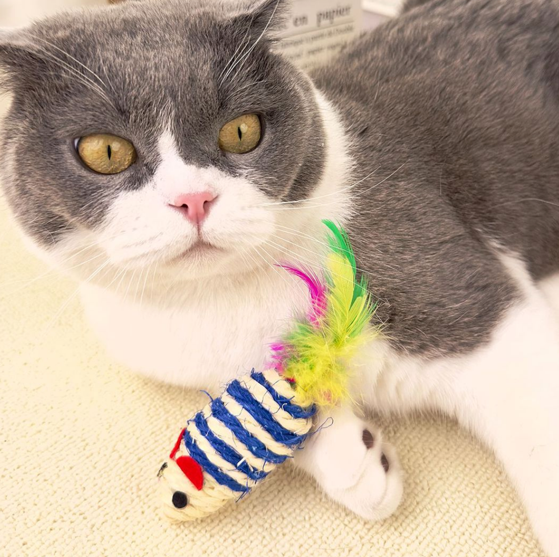 Chenpet Wholesale Hot Selling Sisal Mouse Cat Play Toys