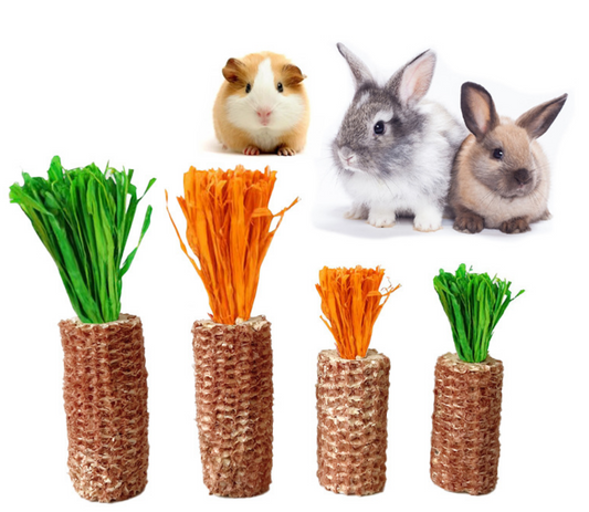 Chenpet Natural Corn Cob Small Pets Chew Play Toys