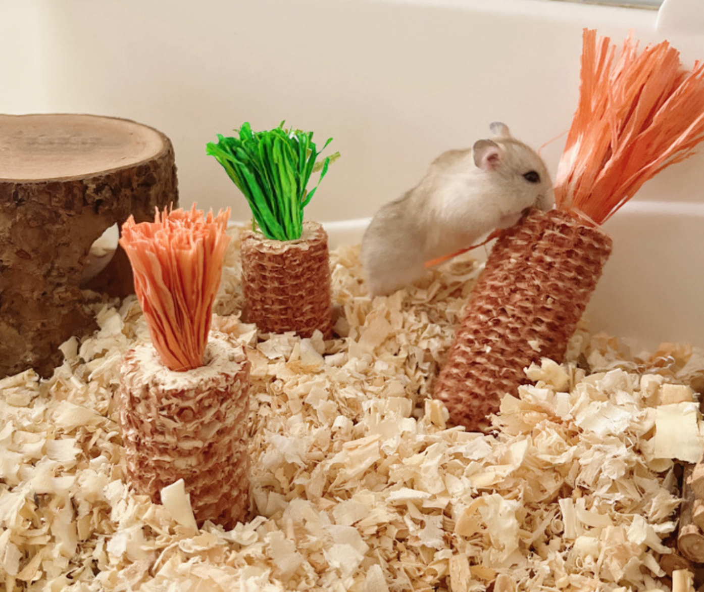 Chenpet Natural Corn Cob Small Pets Chew Play Toys